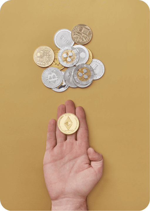For Exchanges
